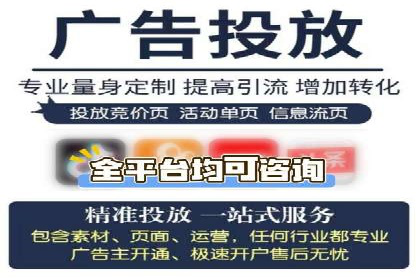 成功案例：专业SEM托管服务助力企业抢占行业制高点